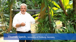 Beilstein.TV: “Attachment systems of climbing plants: an inspiration for bio-inspired solutions”